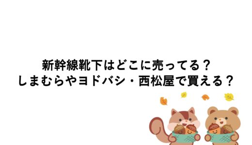 新幹線靴下はどこに売ってる？しまむらやヨドバシ・西松屋で買える？